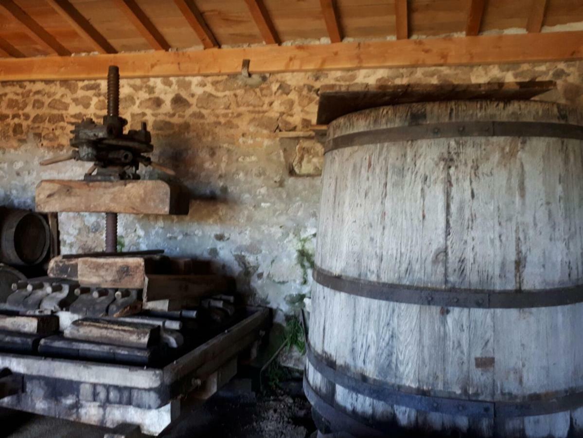 Grand Gite Maison d Alice Auvergne - 15 personnes Saint-Bonnet-les-Quarts Extérieur photo